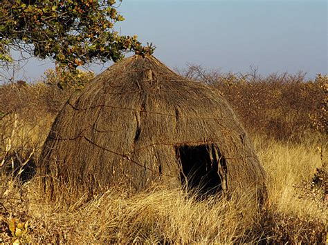 Royalty Free Kalahari Bushmen Pictures, Images and Stock Photos - iStock