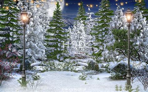 Winter Forest - dream fabric / 8'W x 5'H (landscape) | Photo backdrop christmas, Winter forest ...