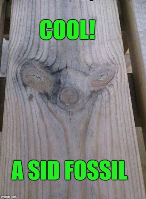 fossil Memes & GIFs - Imgflip