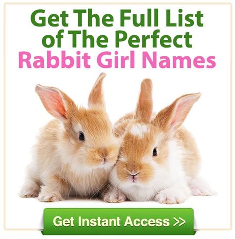 Rabbit Names For Girls - Small Pet Select | Rabbit names, Female rabbit ...