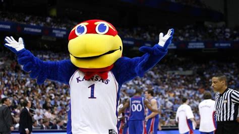 What is the University of Kansas Jayhawk? Is it a real bird? | Kansas City Star