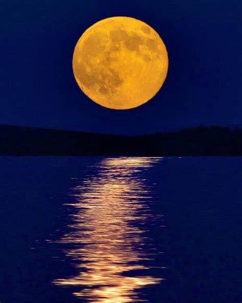 14+ Gorgeous Harvest Moon Photos That Will Make You Love Autumn | Beautiful moon pictures, Moon ...