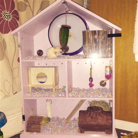 DIY Dollhouse Hamster Cage - petdiys.com