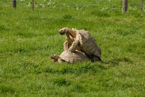 Lake District Wildlife Park Gallery - Visit Cumbria