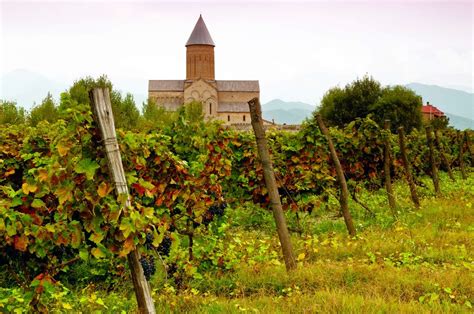 Georgian wines: a guide for gourmet tourists – Mandry-Club