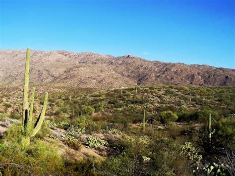 File:Saguaro National Park East.jpg - Wikipedia