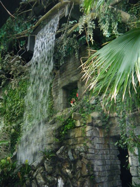 Perfectly Browned: The Rainforest at The Cleveland Zoo