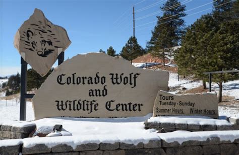 Colorado Wolf and Wildlife Center In Divide Is An Educational And Fun ...