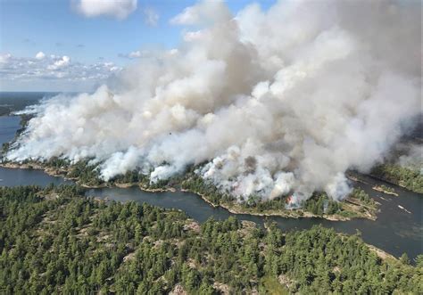 #林火#【Nature Geoscience：树种调控大陆尺度上北方森林火灾和气候反馈差异】 - 知乎