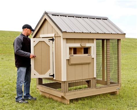 Perfect Coops for Your Backyard Chickens