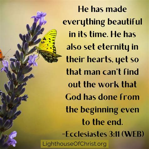 Ecclesiastes 3:11 in 2020 | Ecclesiastes, Ecclesiastes 3 11, Find man