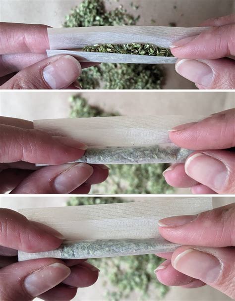 A step-by-step guide to rolling a joint - THE ISNN