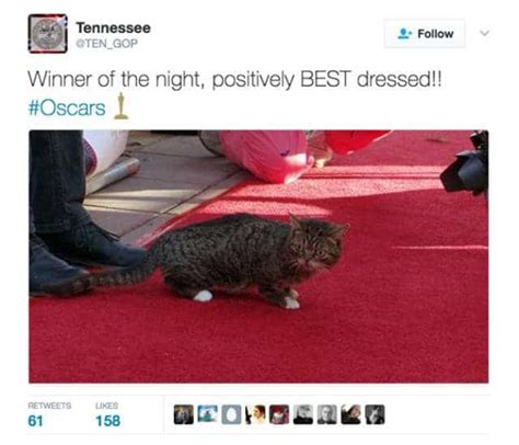 A Collection of Oscars Reactions Tweets that Nailed It - TVovermind