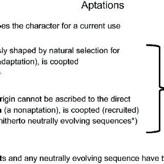 Definition of aptation, adaptation and exaptation. This figure is ...