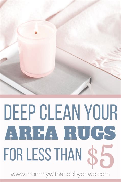 How To Clean Your Area Rugs At Home for under $5 Cleaning Pet Urine ...