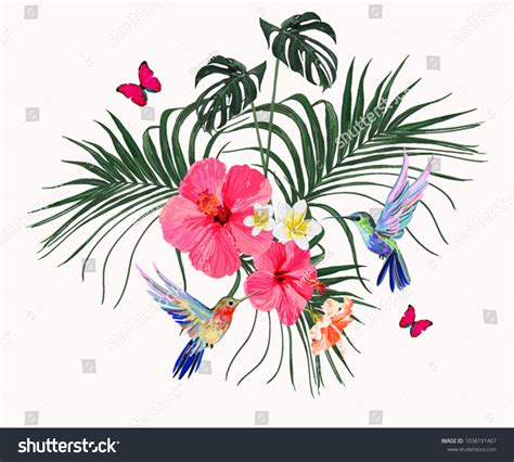 8,081 Hummingbird and flower vector Images, Stock Photos & Vectors ...