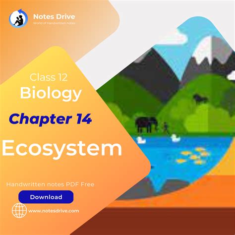 Class 12 Biology Chapter 14 Ecosystem handwritten notes pdf download 2023 - Notes Drive