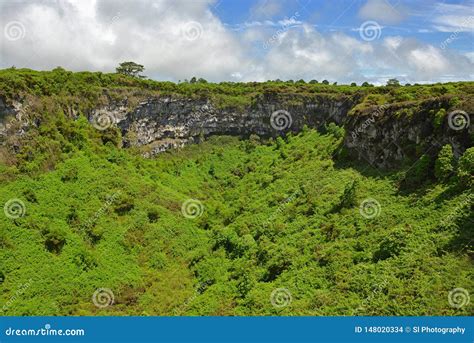 The Twin Volcanic Craters, Santa Cruz Island, Galapagos Stock Photo - Image of activity, america ...