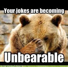 Your jokes are becoming unbearable | Funny bear pictures, Bear puns, Bear jokes