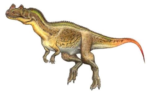 Ceratosaurus - Alchetron, The Free Social Encyclopedia