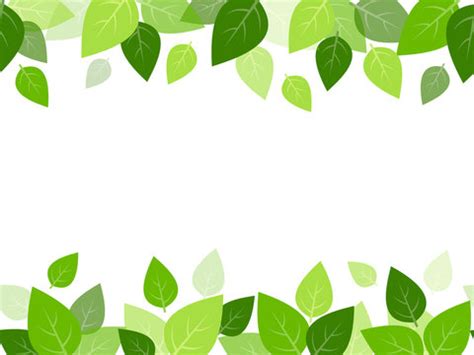 Green Leaf Border Design