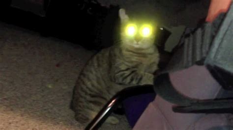 Cat with Creepy Glowing Eyes - YouTube