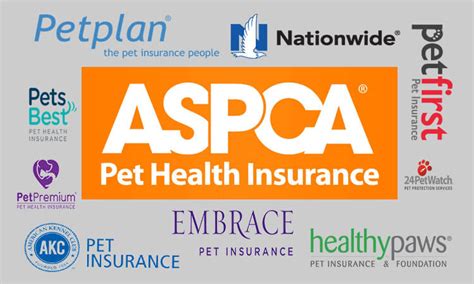 What Is The Best Dog Insurance