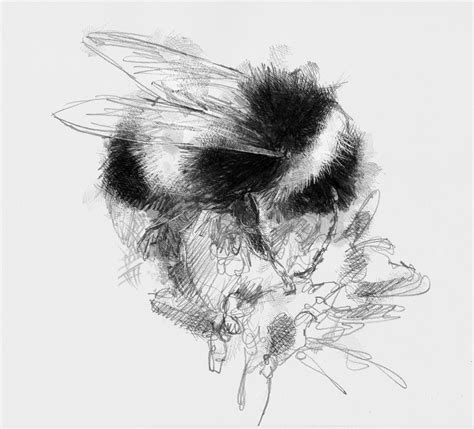 Bumble bee | SeanBriggs | Bee sketch, Bee painting, Bumble bee art