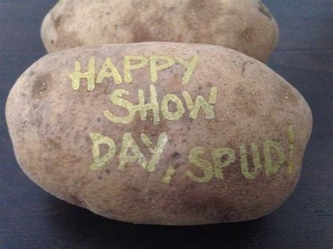 National mail a potato day – MysteryPotato.com