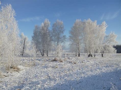 Winter landscape in Russia stock image. Image of winter - 183184713