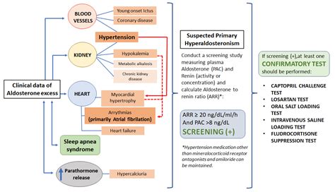 Endocrines | Free Full-Text | Primary Hyperaldosteronism: When to Suspect It and How to Confirm ...