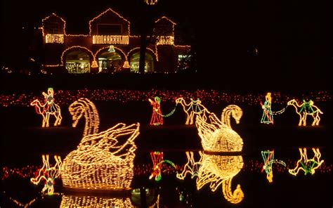 The Best Christmas Light Displays in Every State | Best christmas lights, Best christmas light ...