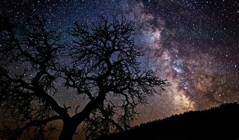 Taking back the night sky - Australian Geographic