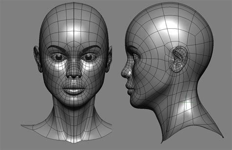 Face blender, Face topology, Face drawing