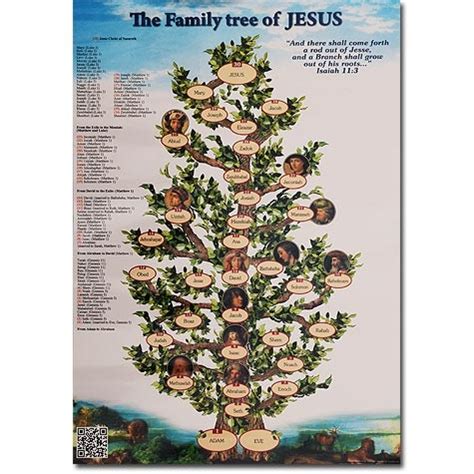 The Family Tree of Jesus Poster - Printed in the Holy Land