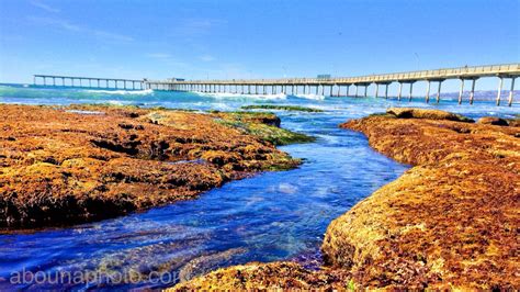 Low tide and Ocean Beach Pier, San Diego. #ocean #oceanbeach #sandiego #california Ocean Beach ...