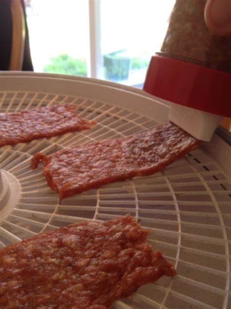 How to Make Beef Jerky With a Dehydrator | Delishably