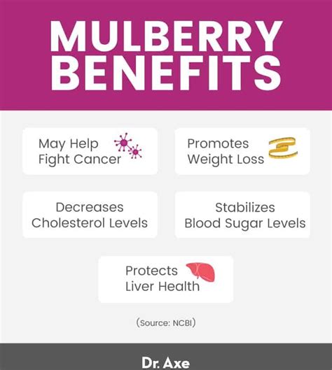 Mulberry Fruit Benefits, Nutrition, Recipes and Side Effects - Dr. Axe