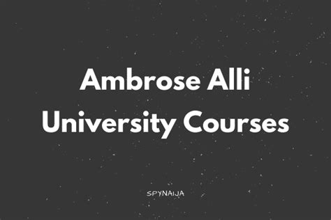 Ambrose Alli University Courses and Requirements | Spynaija