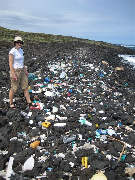 Plastic Soup News: Researchers Map Plastic Debris in Pacific Ocean