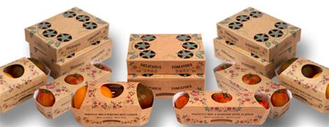 How Paperboard Packaging is Improving Sustainability and Recyclability?