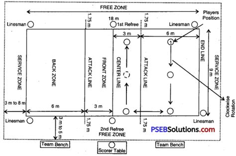 Volleyball Game Rules – PSEB 10th Class Physical Education – PSEB Solutions