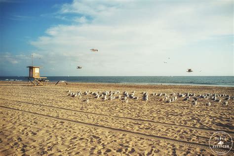 Newport Beach Lifeguard Tower California Beach Home Decor - Etsy Canada