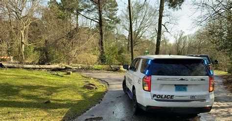 Alabama storm damage prompts power outages: See pictures and video - al.com