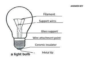 Diagram Of A Bulb Class 6