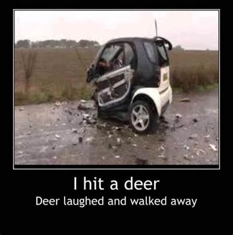 Deer Accident? | Smart Car of America Forum