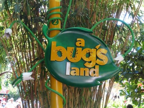 Video: Say Goodbye To A Bug’s Land With Itm’s Latest Episode Of “Inside Disneyland Resort ...