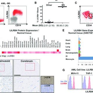 (PDF) A novel anti-LILRB4 CAR-T cell for the treatment of monocytic AML