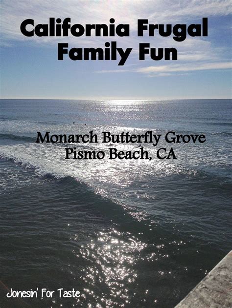 Monarch Butterfly Grove at Pismo Beach, California | Pismo beach ...