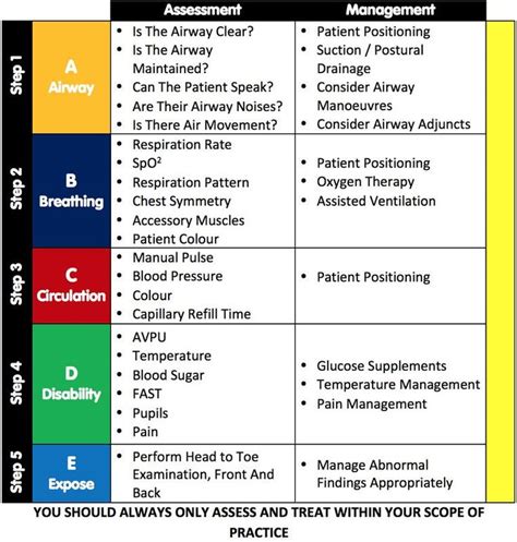 Critical care Respiratory Assessment – ABCDE | Charting for nurses ...